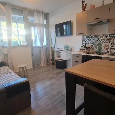 En Rdc Climatise Avec Terrasse Ombragee Et Privative Apartment Le Grau-du-Roi