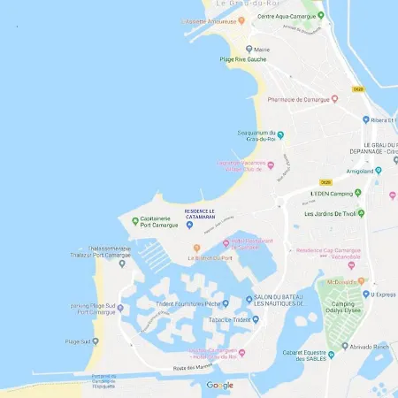 En Rdc Climatise Avec Terrasse Ombragee Et Privative Lejlighed Le Grau-du-Roi